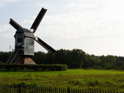 Houten windmolen in het groene landschap van Lommel
