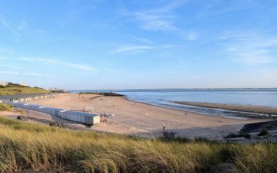Beach and dunes on the Zeeland coast