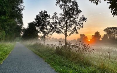 Misty morning in the countryside around Oudenaarde
