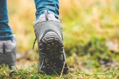 Nature coaching