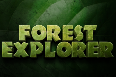 Forest Explorer