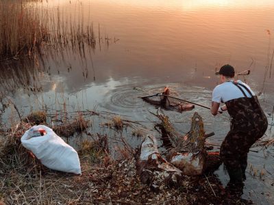 Nature Clean Up Experience