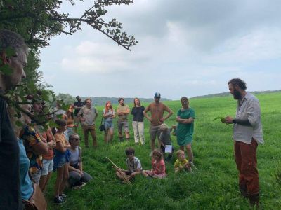 Wild picking