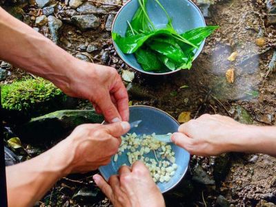 Wild picking