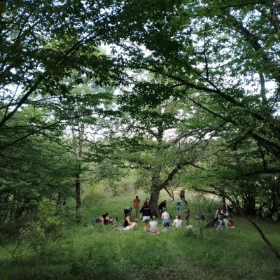 Your Nature