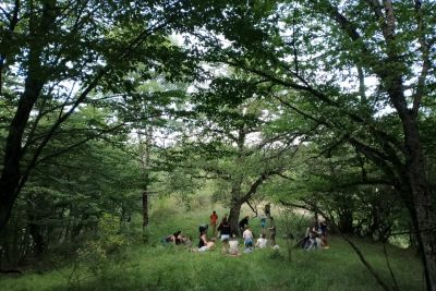 Your Nature
