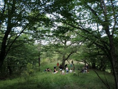 Your Nature