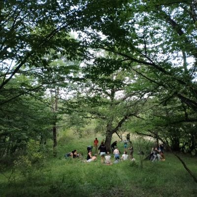 Your Nature